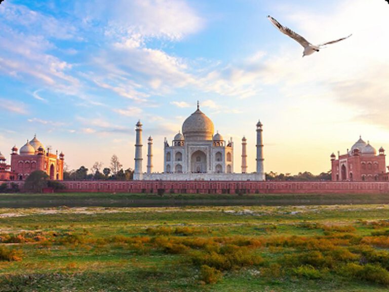 golden triangle tour